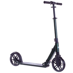 [SKB-81-81] Самокат Rideoo 200 City Green