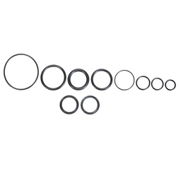 [BLT-98-17] Набор уплотнителей для 100 часового сервиса системы Oppo в Lefty Ocho 120, K57021